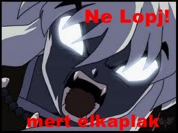 ne_lopj2.jpg